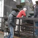 150329-ivdo-Kilsdonksemolen04
