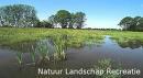 natuur.jpg