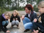 Ed_van_Uden_t_Pallet_1