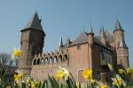110417_kasteel_narcissen