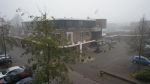 111201-tlun-Gorilla_in_de_mist___2