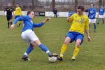 2011-03-13_Heeswijk_-_Mulo