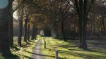 11-12-30-tonlun-winterwandeltocht_1