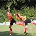 130831 DVG-Avesteyn