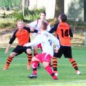 18-8-2013 Neerbeek - Avesteyn