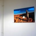 140109-jvdb-expo Laverhof_02-2