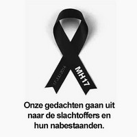 MH17 2