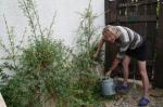 090604-phe-addy.jpg