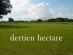 dertienhectare