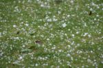 100710-lvdv-noodweer_19