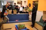 100216-phe-Tulpen_
