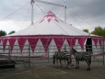thumb_20071005-phe-circus-1