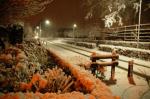 081122-wvdl-winter2008_1.jpg