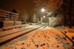 081122-wvdl-winter2008_2.jpg