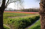 080422-wvdl-voorjaar_1.jpg